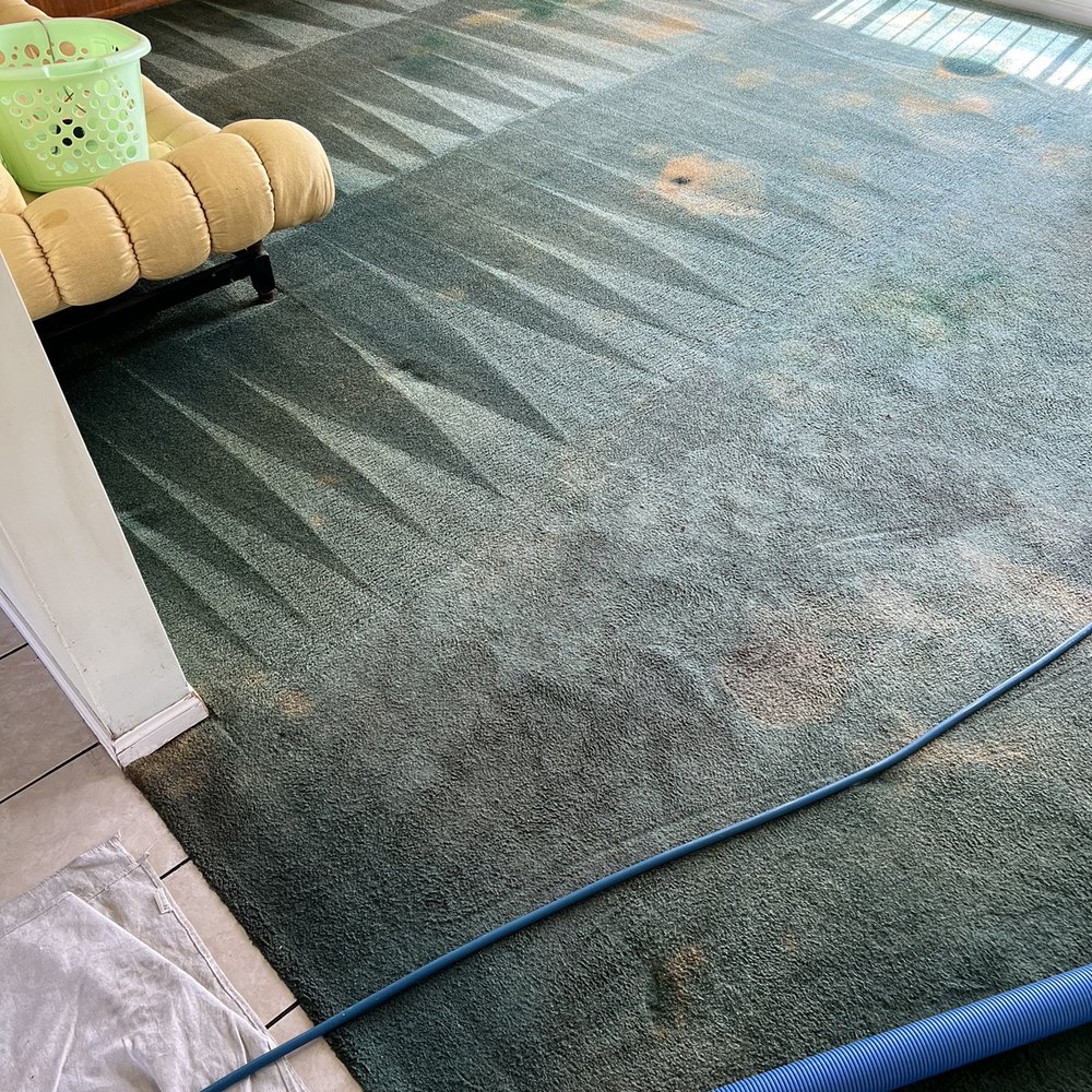 Master's Carpet Cleaning - My living room carpet during the cleaning - Carpet Cleaning Near Me - Whittier, California Master's Carpet Cleaning - My living room carpet during the cleaning - Carpet Cleaning Near Me - Whittier, California