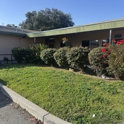 Golden Harbor Healthcare - Plants