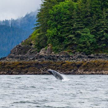 Juneau Lighthouse Tours - Whale Watching Tours Near Me - Juneau, Alaska
