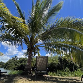 Tsue's Farm - Love this one! - Paddleboarding Near Me - Haleiwa, Hawaii Tsue's Farm - Love this one! - Paddleboarding Near Me - Haleiwa, Hawaii
