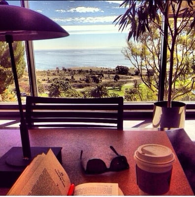 Payson Library by null