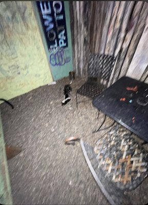 Taos Pizza Out Back by null