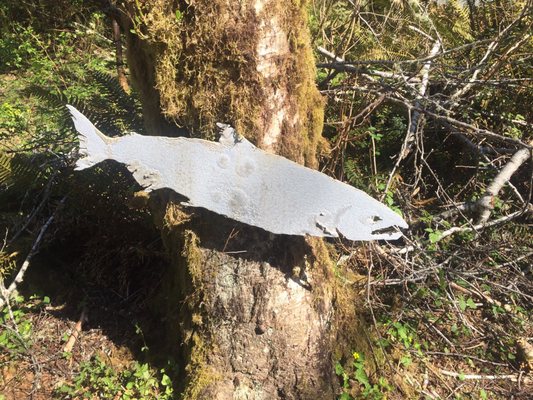 Willapa National Wildlife Refuge by null