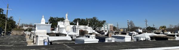 City Sightseeing New Orleans by null