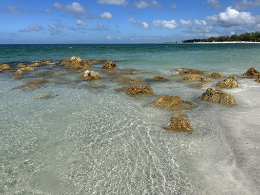 Happy Paddler Kayak Tours & EcoVentures by null