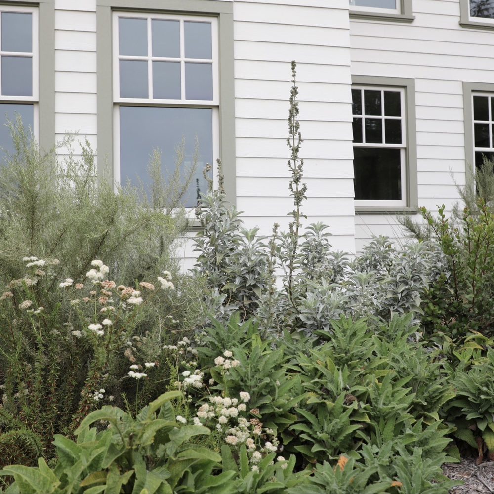 Morami Studio - Historic farmhouse and native plant demonstration gardens - Landscape Architects or Designers Near Me