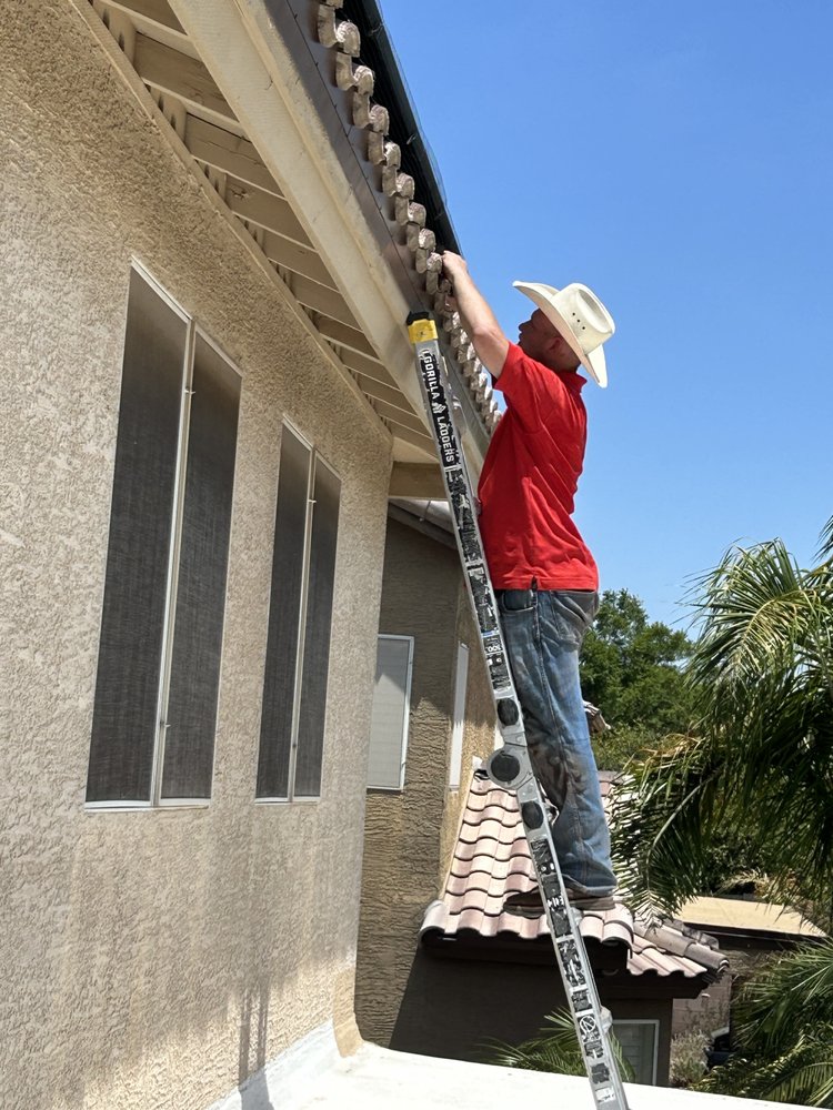 THE PIGEON WRANGLER Mesa, Arizona Pest Control Phone Number Yelp