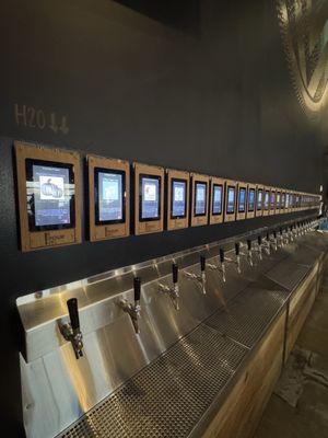 Elephant & Co. Royal Oak by null