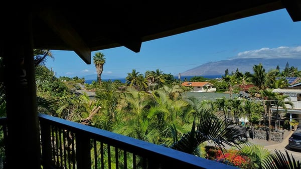 Maui What a Wonderful World Bed and Breakfast by null