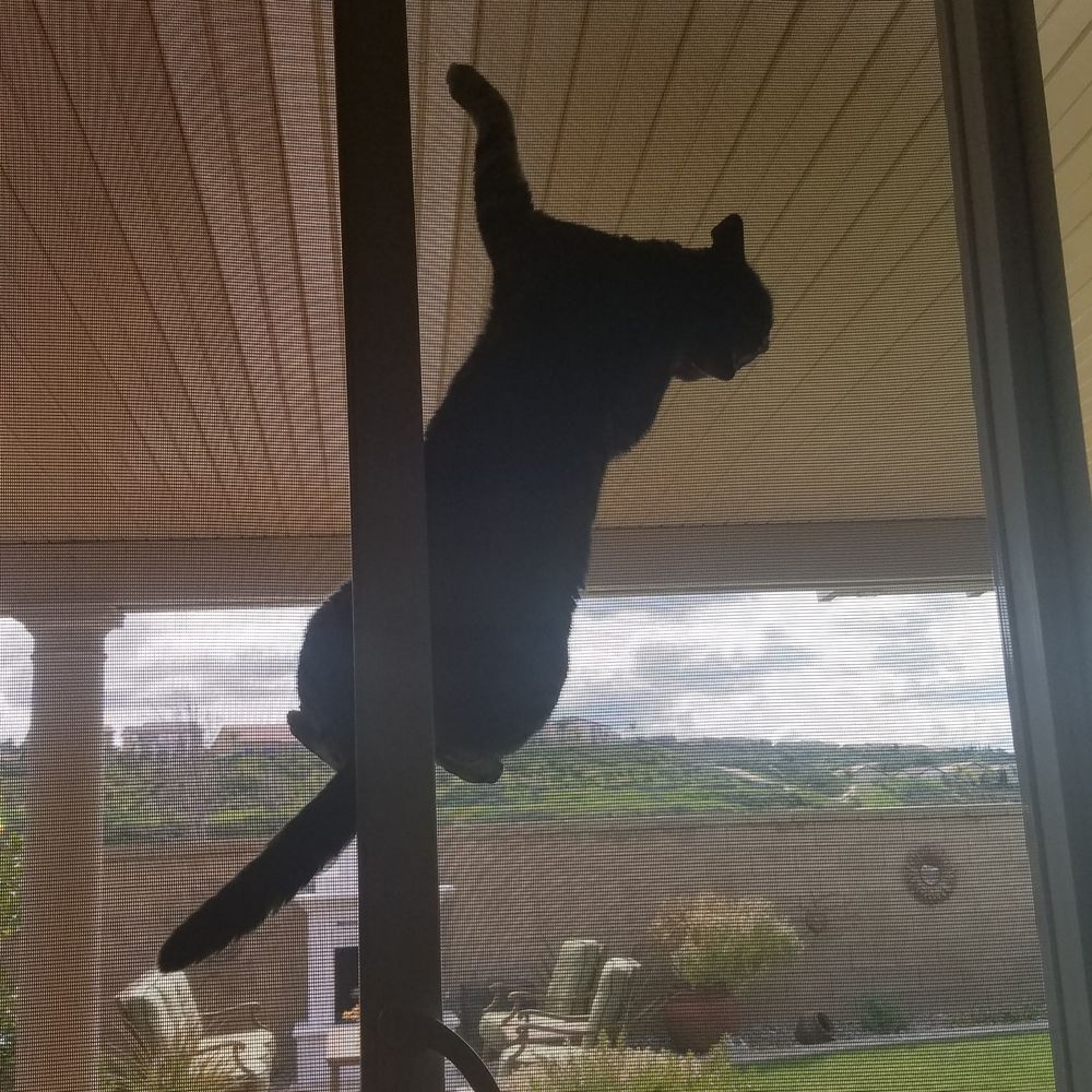 Mr. Window Screen - Windows Installation Near Me Mr. Window Screen - Windows Installation Near Me
