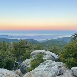 Nature Friends - A sunrise at the cabin