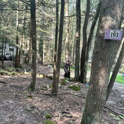Four Seasons By The Lake - While walking I think o saw a bear , or maybe that's a wolf