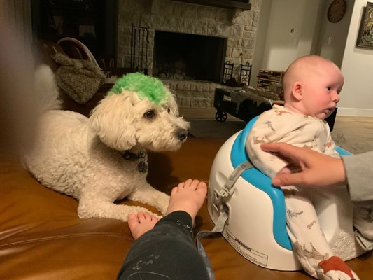 Woof Gang Bakery & Grooming New Braunfels