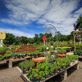 Wildwood Nurseries - Nurseries & Gardening Near Me - East Greenwich, Rhode Island Wildwood Nurseries - Nurseries & Gardening Near Me - East Greenwich, Rhode Island