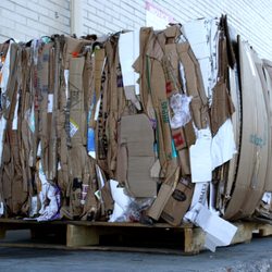 Orlando Recycling