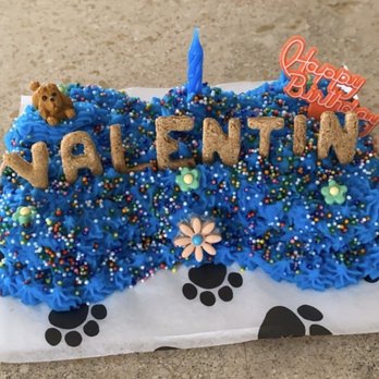 PJ's Pet Cafe - Pet Stores Near Me - Long Beach, California PJ's Pet Cafe - Pet Stores Near Me - Long Beach, California