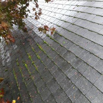 JC Window Wash Services - Before moss - Window Washing Near Me - Lynnwood, Washington JC Window Wash Services - Before moss - Window Washing Near Me - Lynnwood, Washington