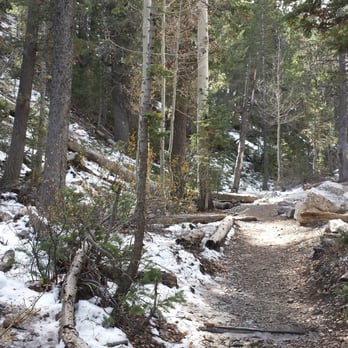 Bristlecone Trail - Snow on the Upper Bristlecone Trail in October - Hiking Near Me - Mount Charleston, Nevada