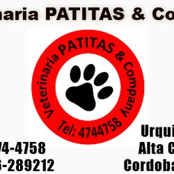Veterinaria Patitas & Company