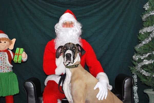 West Metro Fire Station 1 - social services organization in Lakewood, CO