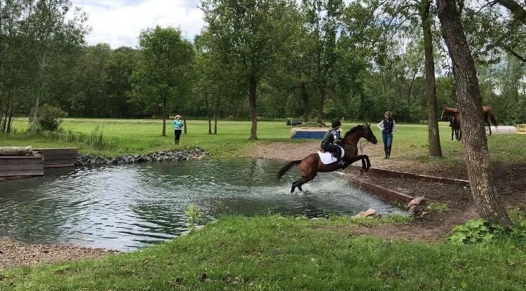 Hunters Glen Farms - equestrian in Des Moines, IA
