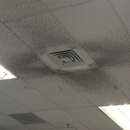 Mold, dust, filth