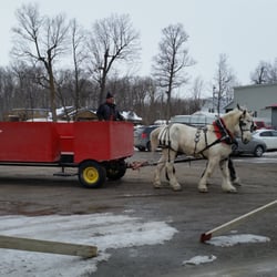 La Cabane à Sucre Constantin - Horse carriage ride