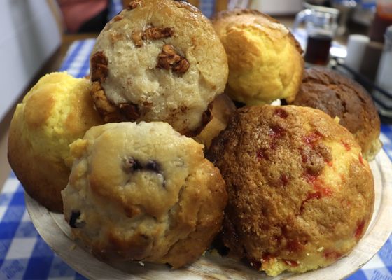 Millie's Lunch by null