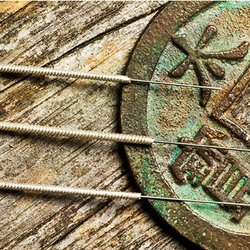 Coastal Acupuncture