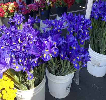 Old Town Newhall Farmers Market by null