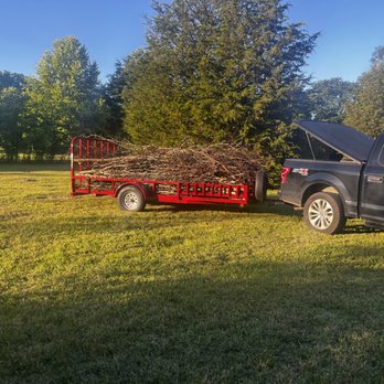 Green-Haven Landscaping - Cleaned and trimmed tree limbs - Landscaping Near Me Green-Haven Landscaping - Cleaned and trimmed tree limbs - Landscaping Near Me