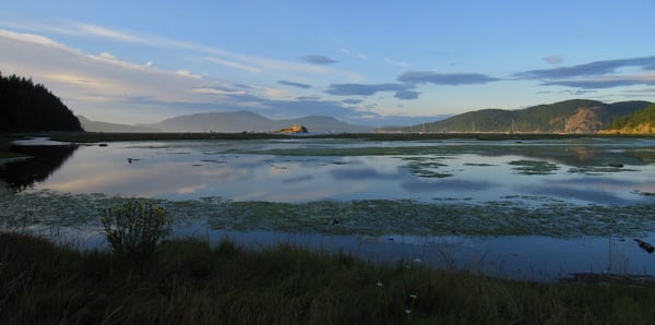 Spencer Spit State Park by null