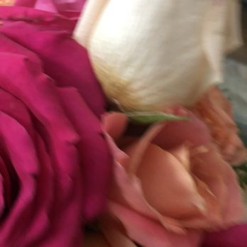Winston Flowers - Florists Near Me - Boston, Massachusetts