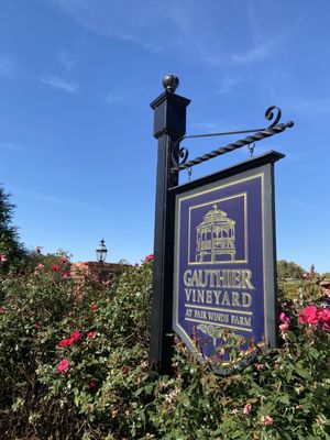 Gauthier Vineyard by null