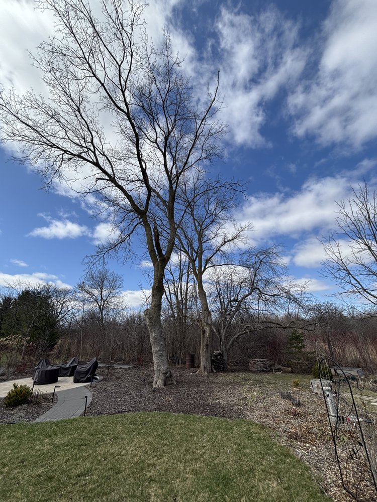 Tree Gone - veterans service organization in Eagle, WI