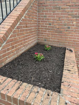 Fresh edge lawn care on Yelp