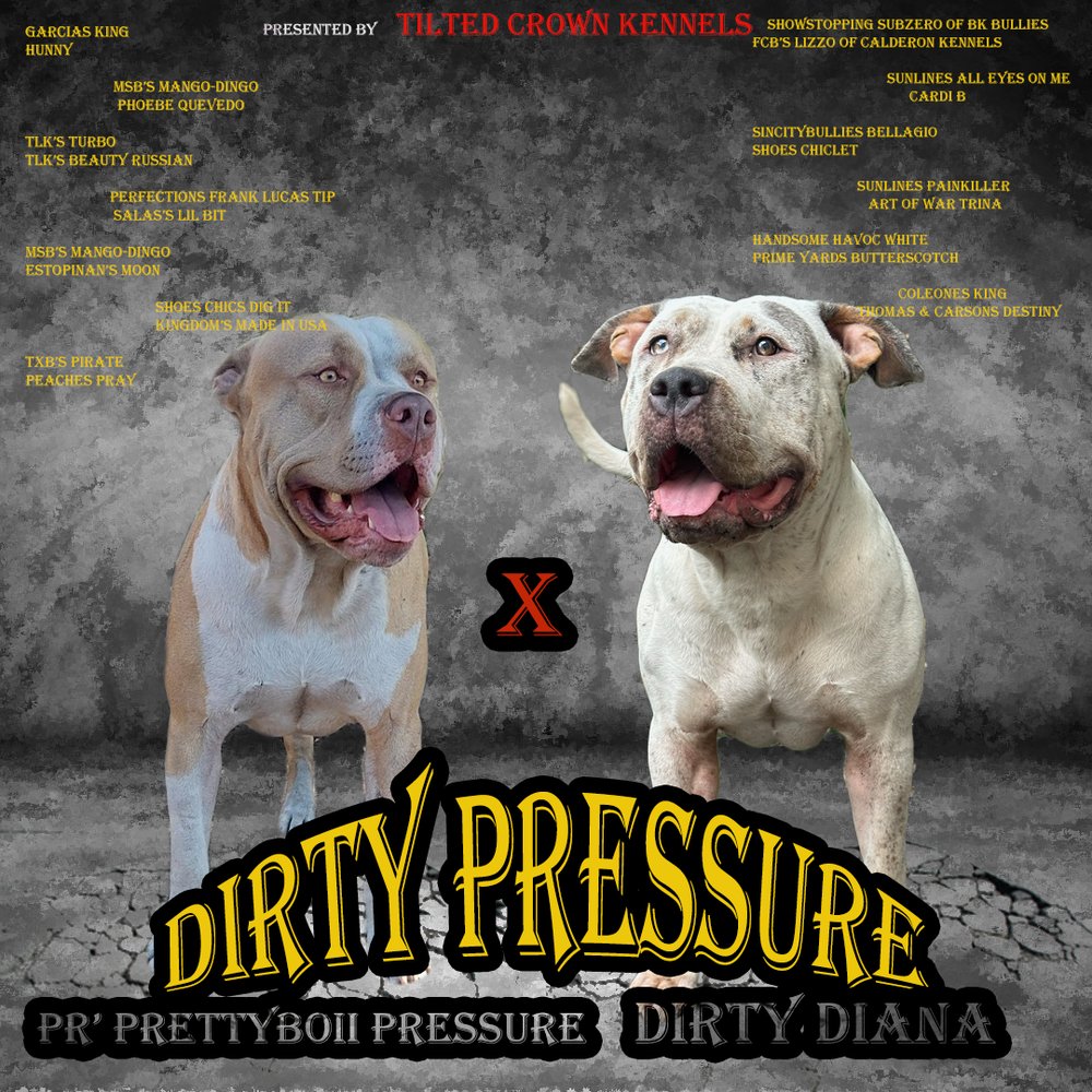 TILTED CROWN KENNELS Updated July 2024 Fort Lauderdale, Florida