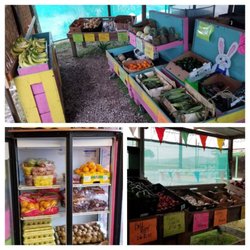 Bandera County Produce & Market - We have both indoor & outdoor space!