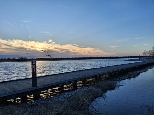 Shelby Farms Park by null