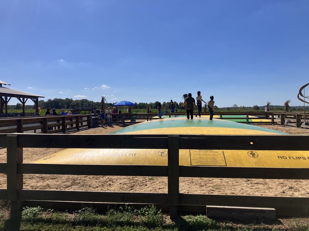 Alpha and Omega Corn Maze