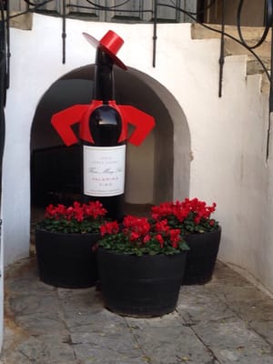 Gonzalez Byass by null