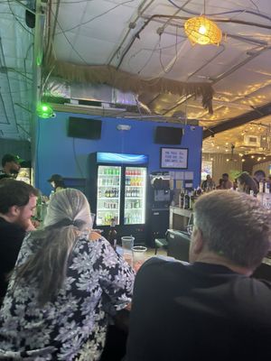 The Pool Turtle by null