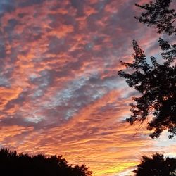 Coldbrook Resort Campgrounds - More of that beautiful sky
