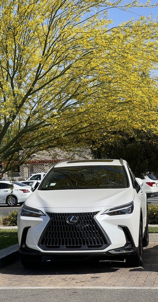 SUDDZ MOBILE DETAILING 28 Photos Fullerton, California Car Wash