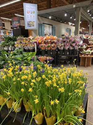 Wegmans Bakery by null