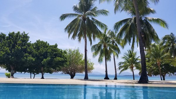 Dos Palmas Island Resort & Spa by null