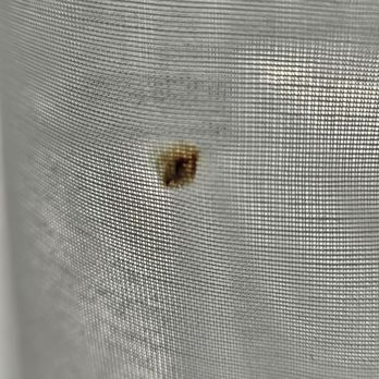 DoubleTree by Hilton Newark Penn Station - Stain on curtains. Blood? - Hotels Near Me - Newark, New Jersey DoubleTree by Hilton Newark Penn Station - Stain on curtains. Blood? - Hotels Near Me - Newark, New Jersey
