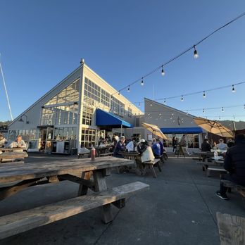 Fish - Outdoor seating - Seafood Near Me - Sausalito, California Fish - Outdoor seating - Seafood Near Me - Sausalito, California