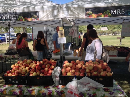 Las Vegas Farmers Market LLC at Floyd Lamb Park by null