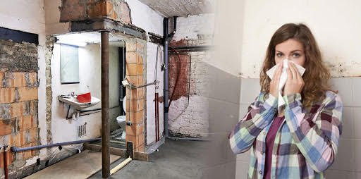 Pure Maintenance of Oregon - mold inspector in Medford, OR